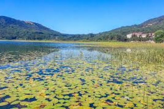 MAŞUKİYE ve SAPANCA GÖLÜ dahil olan BATI KARADENİZ