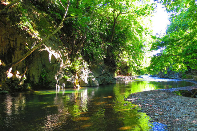 Ülkemizin Akciğeri Kazdağları