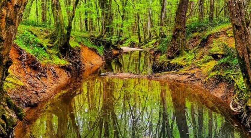 Edirne - İğneada - Tekirdağ ( 2 gece konaklamalı ) 